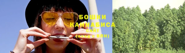 a pvp Дмитровск