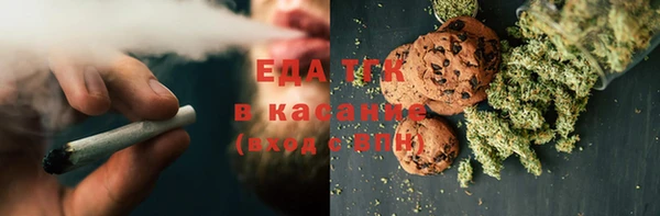 дмт Дмитров