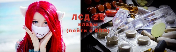 дмт Дмитров