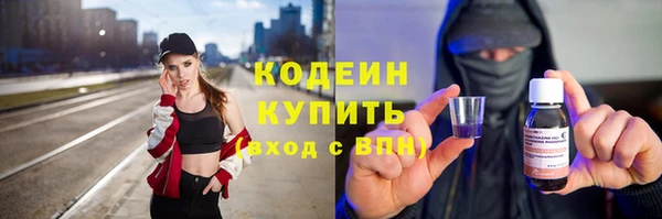 дмт Дмитров