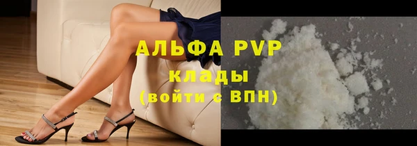 спайс Дмитриев