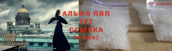 дмт Дмитров