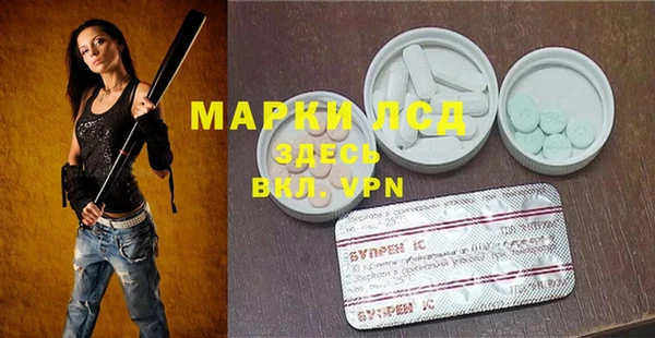 a pvp Дмитровск