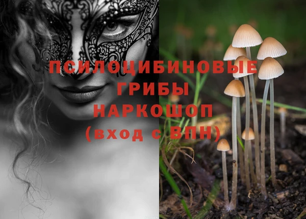 спайс Дмитриев