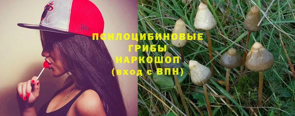 a pvp Дмитровск