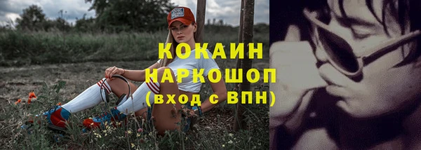 дмт Дмитров