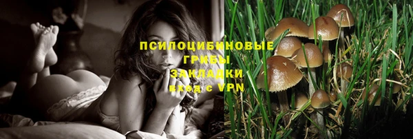 прущая мука Белая Холуница