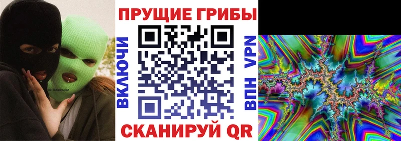 Купить закладки  Дудинка  Галлюциногенные грибы Magic Shrooms 